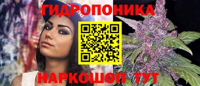 бошки Тверь