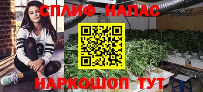 Альфа ПВП Татарск