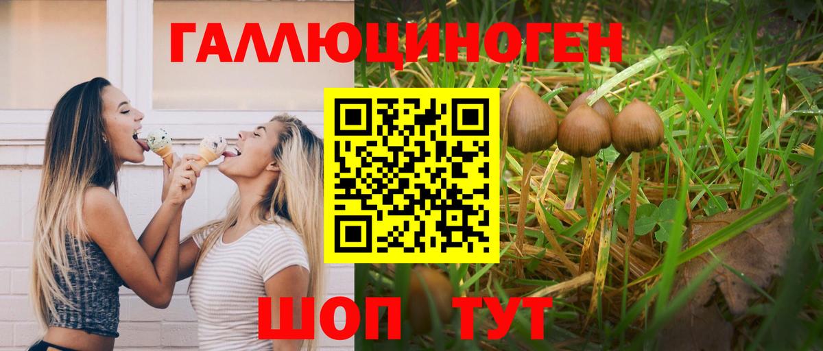 Псилоцибиновые грибы прущие грибы  Вход с VPN  Галлюциногенные грибы ЛСД  Нововоронеж 
